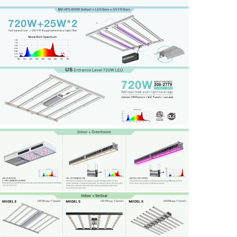 1704358768.jpg 2.jpg