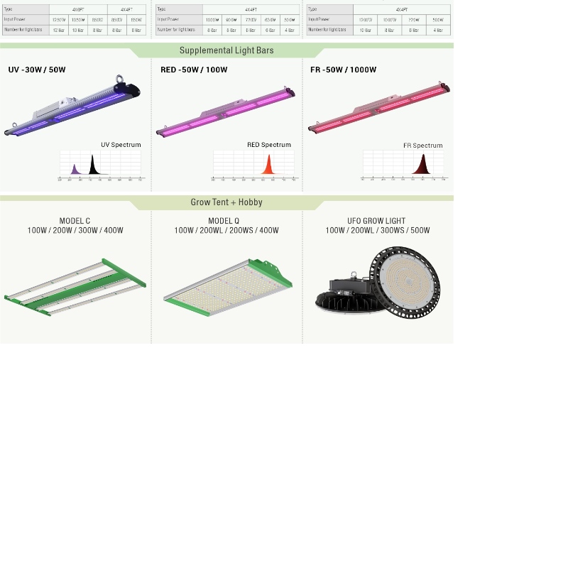 1705399612.jpg 3.jpg