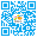 1577629282.png B&G Link.png